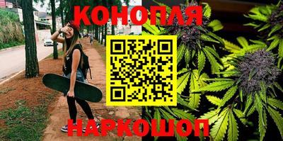 шишки Заводоуковск