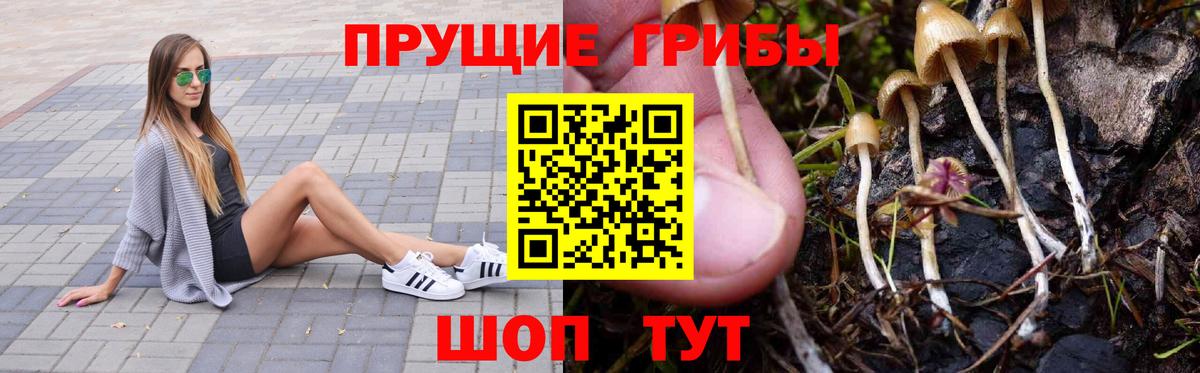 Псилоцибиновые грибы Magic Shrooms  Вход с VPN  Псилоцибиновые грибы мухоморы  купить наркоту  Менделеевск 
